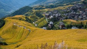 玄幻免费小说《万古神帝》封面，金色龙纹背景，气势磅礴，主角凌驾苍穹